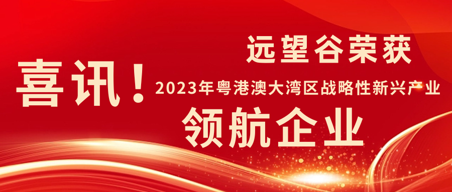 新年迎喜讯 | 球王会体育首页荣获2023年粤港澳大湾区战略性新兴产业“领航企业”！