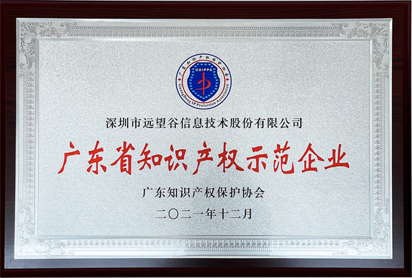 2021年广东省知识产权示范企业_球王会体育首页_副本.jpg